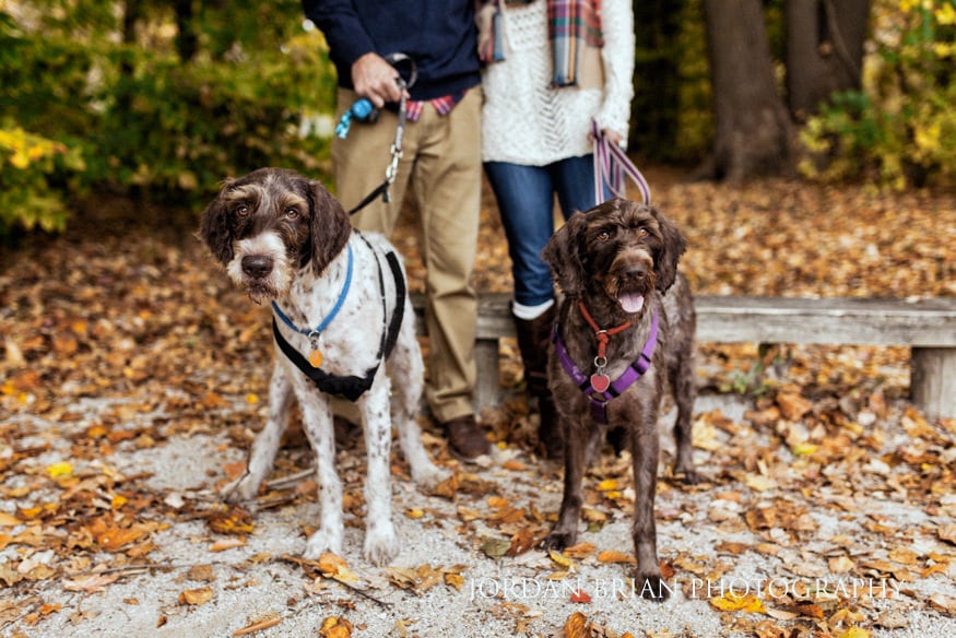 Caitlynn and Nick with borrowed dogs during Smithville Park engagement session
